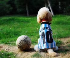 不止流量！5G 流量宝的隐藏功能，让手机性能翻倍